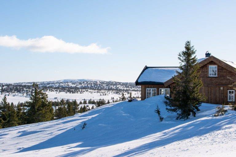 Hytte Kroksjølia (4)